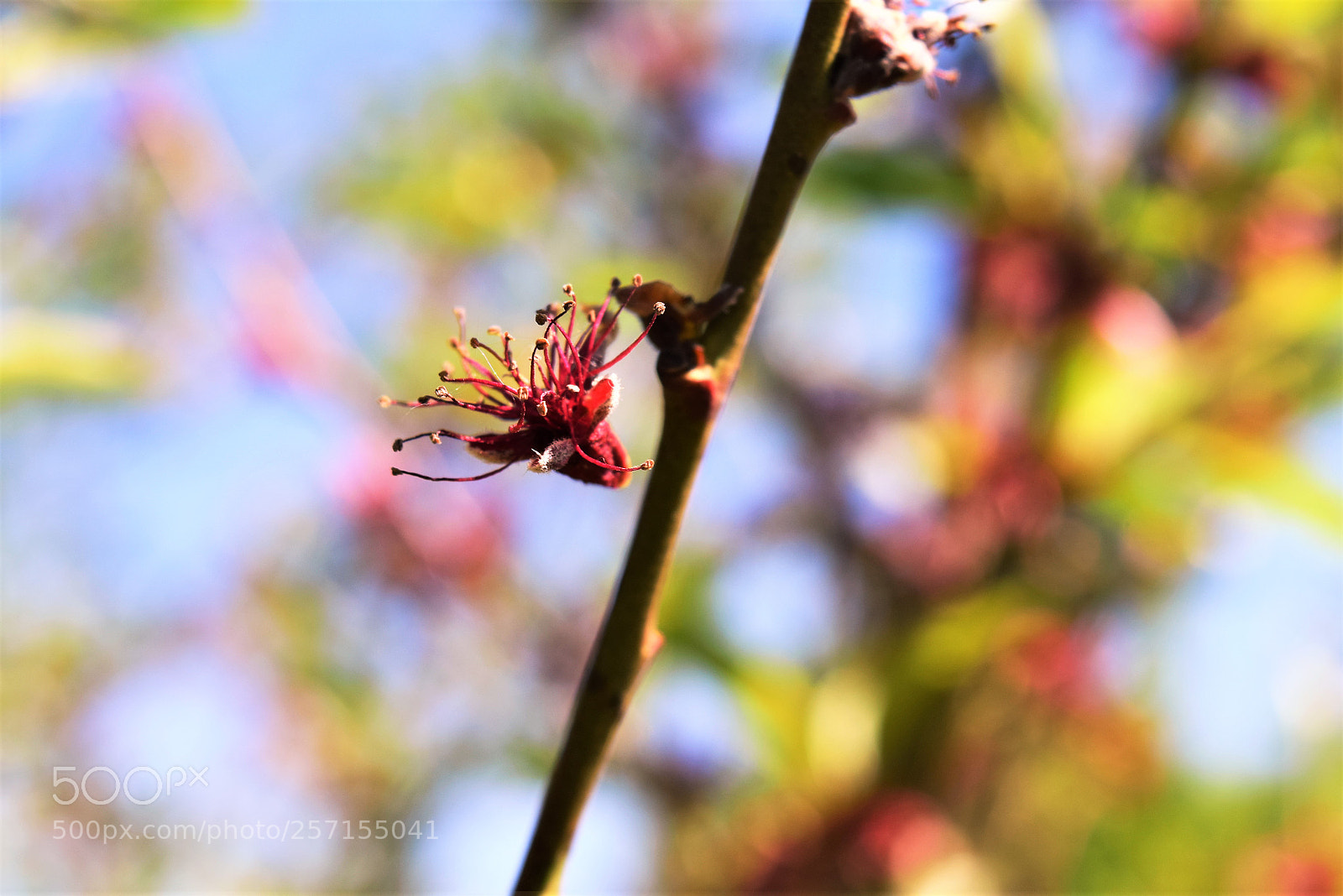 Nikon D3300 sample photo. Otpadnik photography