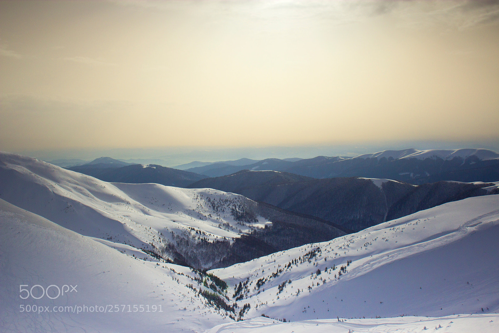 Canon EOS 600D (Rebel EOS T3i / EOS Kiss X5) sample photo. Dragobrat photography