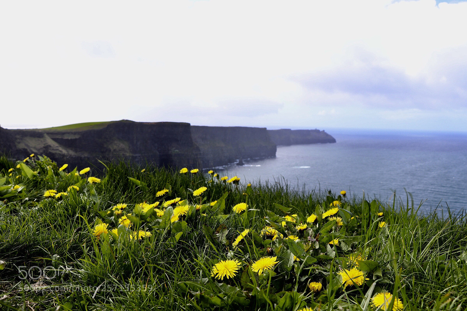 Canon EOS 77D (EOS 9000D / EOS 770D) sample photo. Cliffs of moher photography