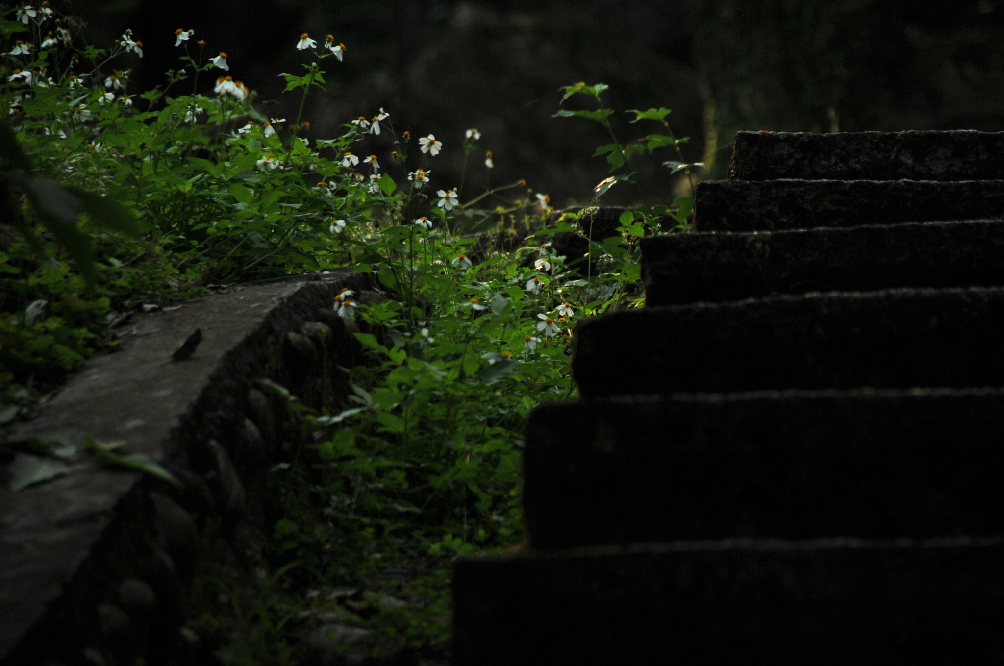 Nikon D3S sample photo. .. photography