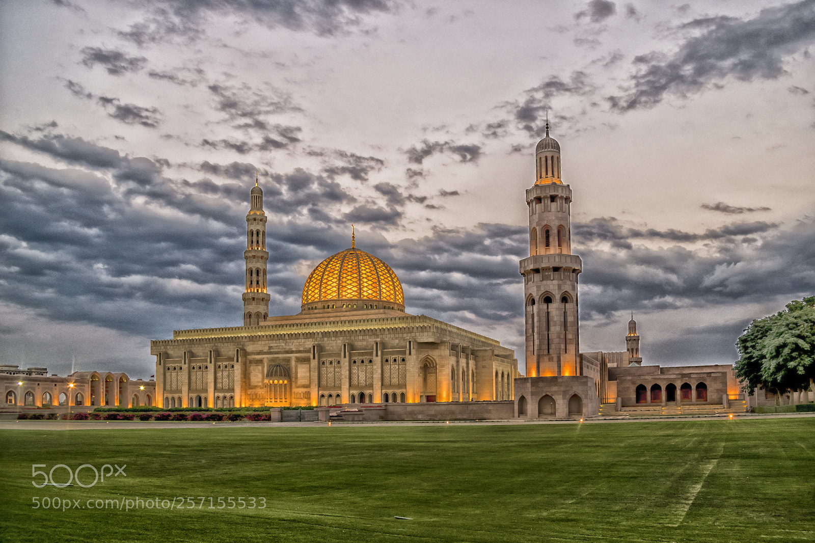 Nikon D5600 sample photo. Sultan qaboos grand mosque photography