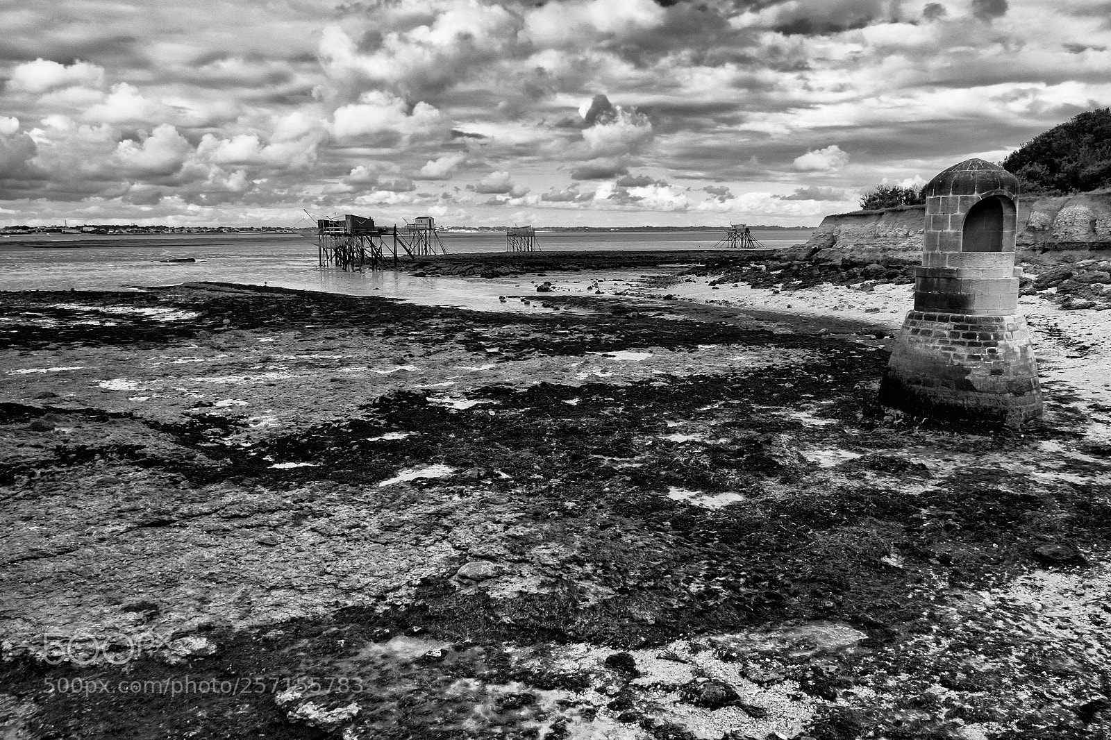 Fujifilm X-Pro1 sample photo. Quand la mar e photography