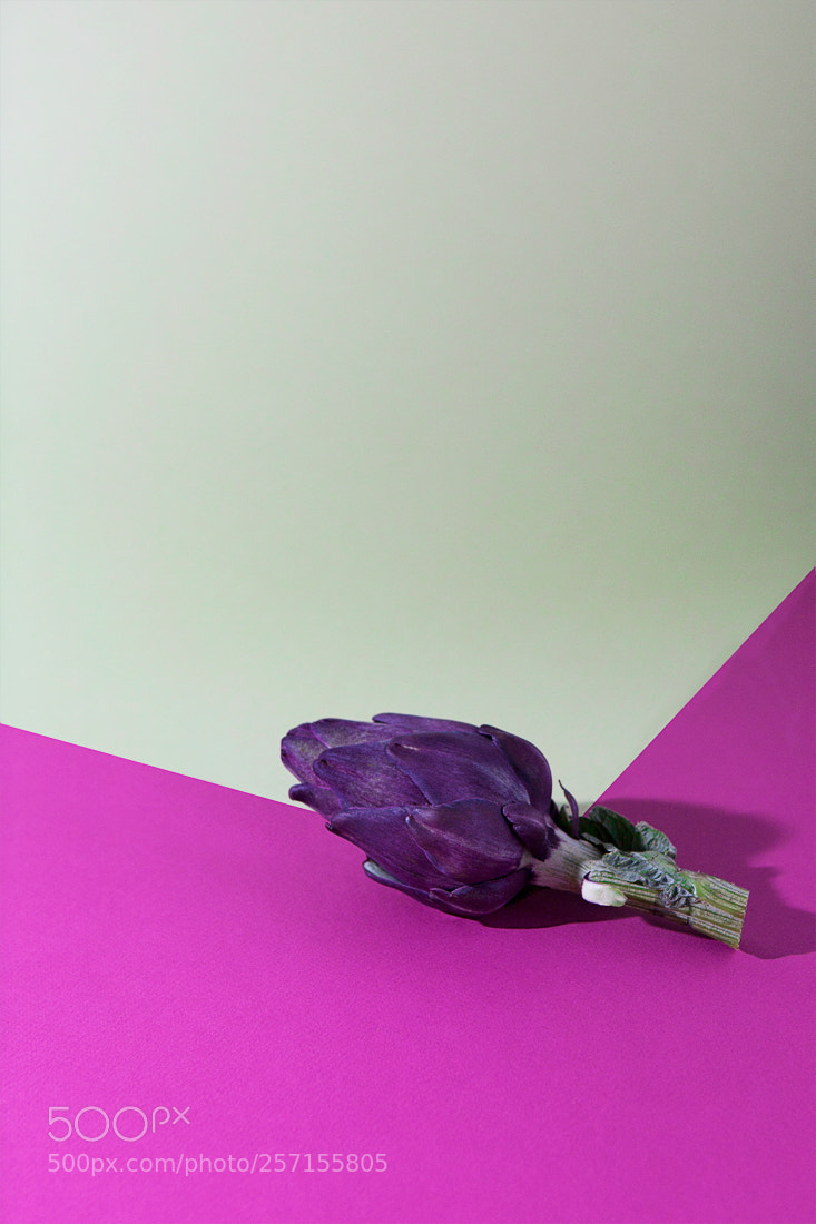 Canon EOS 5D sample photo. Artichoke photography