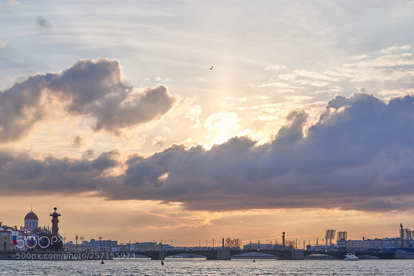 Nikon D600 sample photo. Neva sunset photography