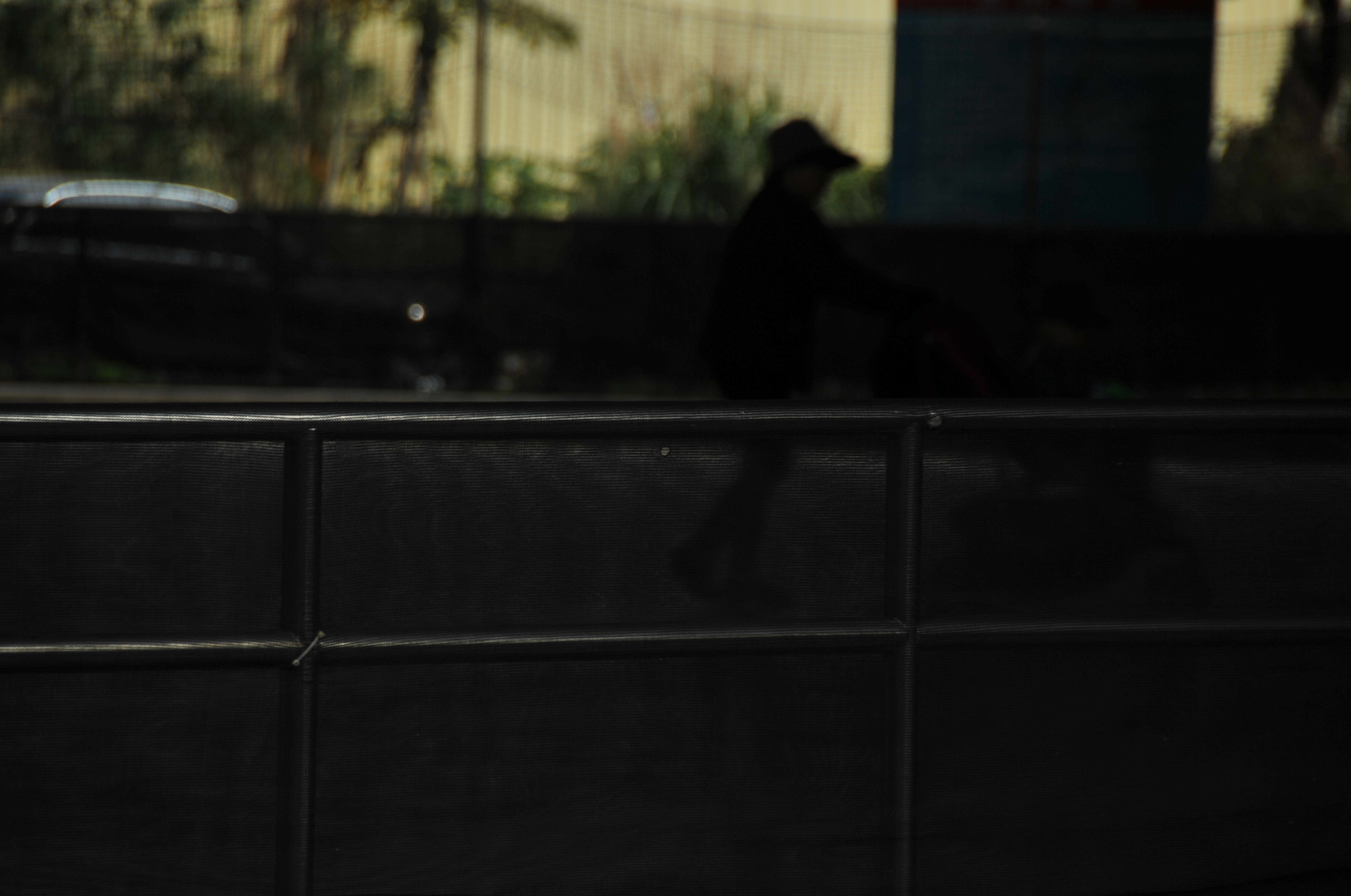 Nikon D3S sample photo. .. photography