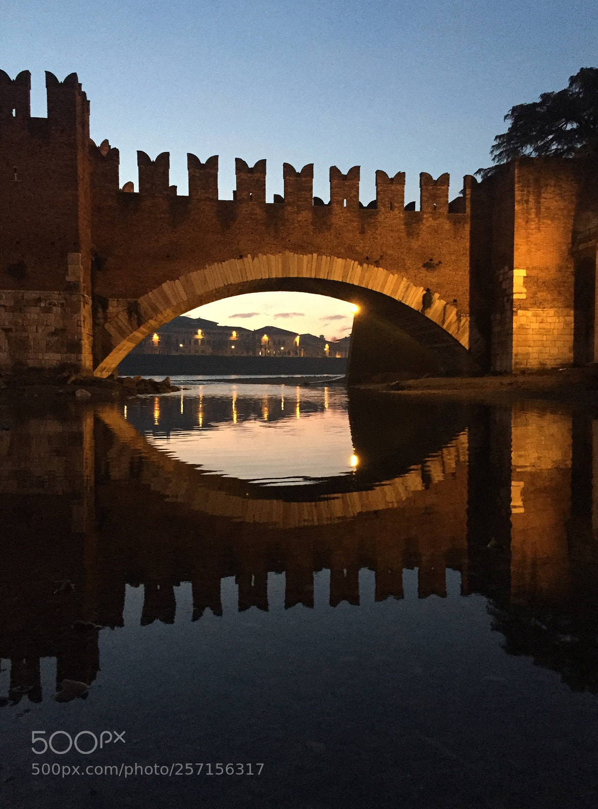 Apple iPhone 6 sample photo. ~verona~ photography