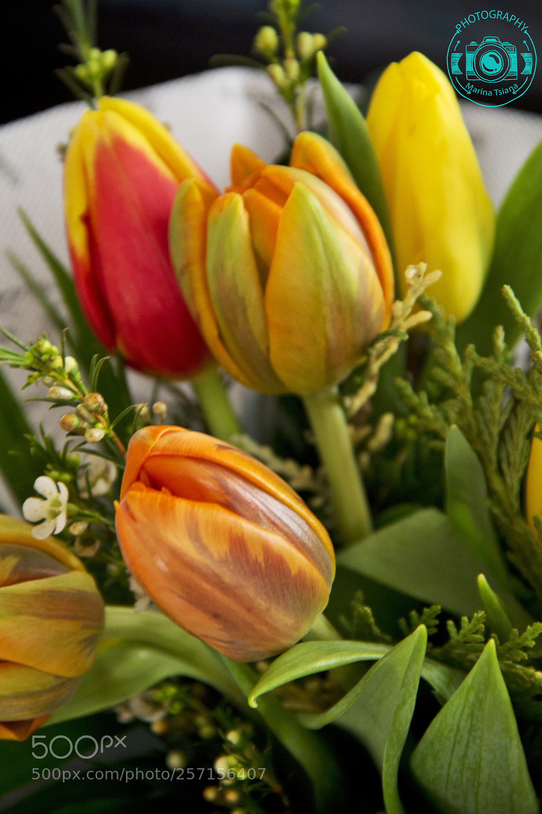 Canon EOS 60D sample photo. Extraordinary blossom photography