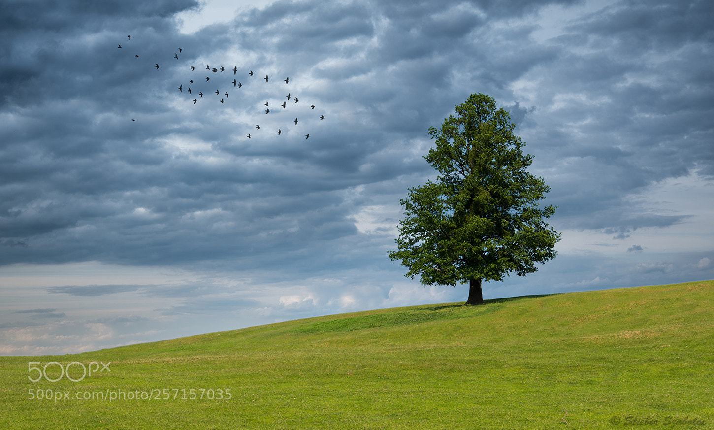 Nikon D750 sample photo. Before the rain photography
