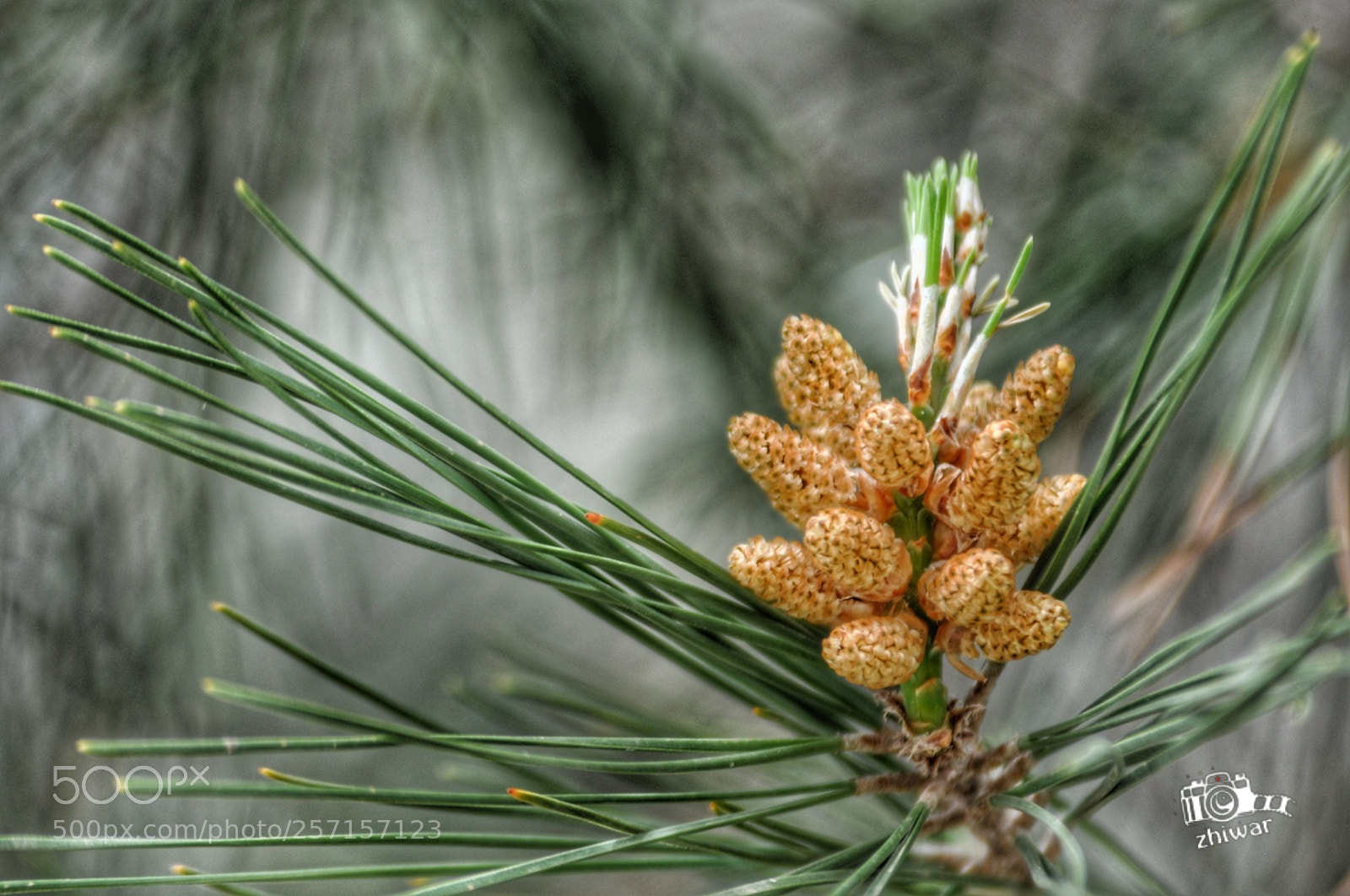 Nikon D5000 sample photo. Untitled photography