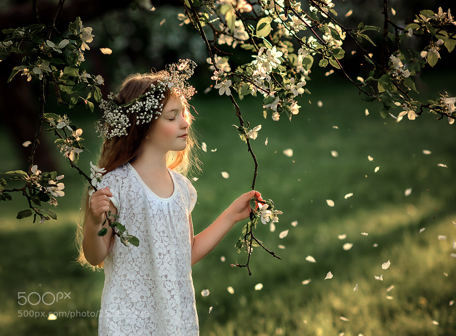 Nikon D800 sample photo. Немножечко волшебства photography