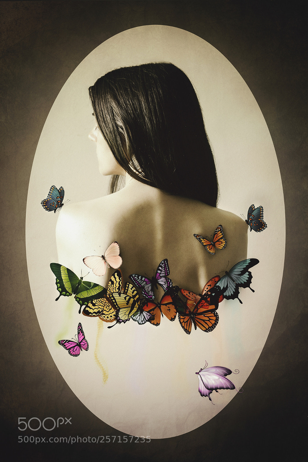 Nikon D810 sample photo. Wings photography
