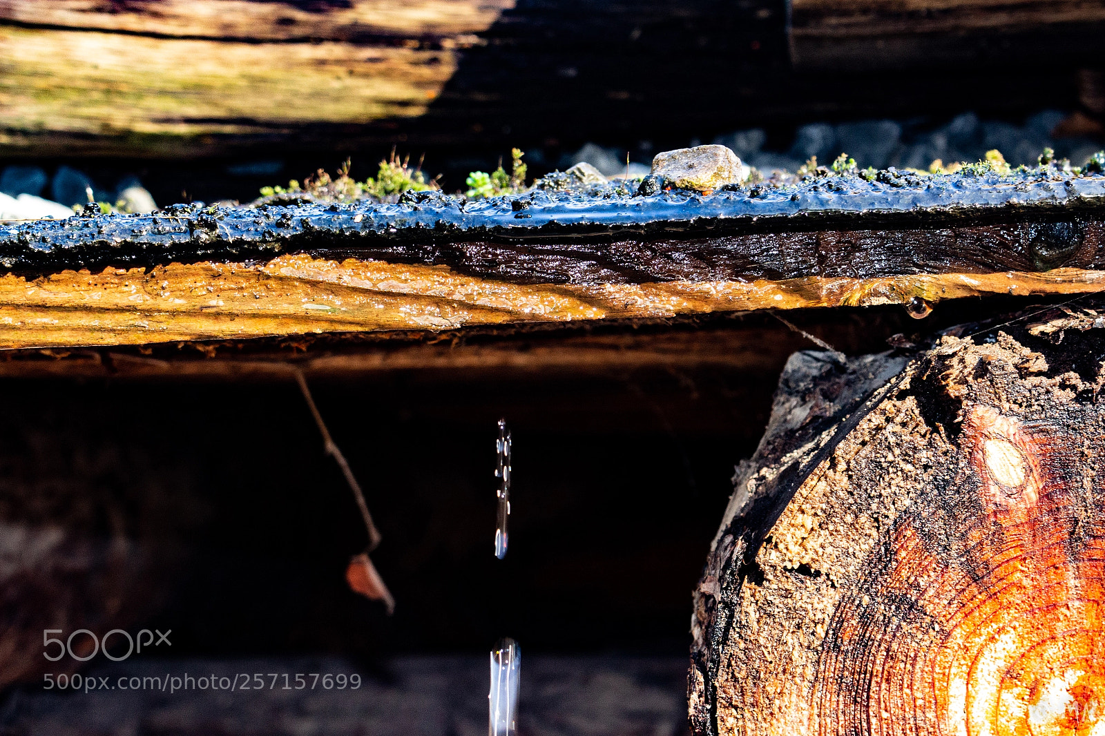 Canon EOS 700D (EOS Rebel T5i / EOS Kiss X7i) sample photo. Wood-landscape photography