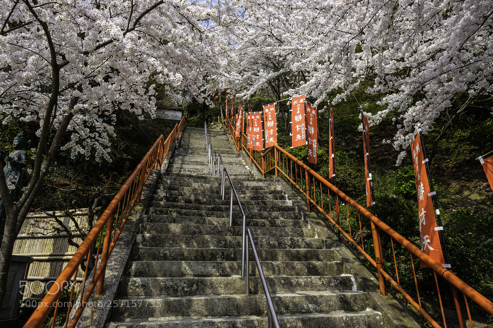 Fujifilm X-T2 sample photo. Japan-竹生島櫻花 photography