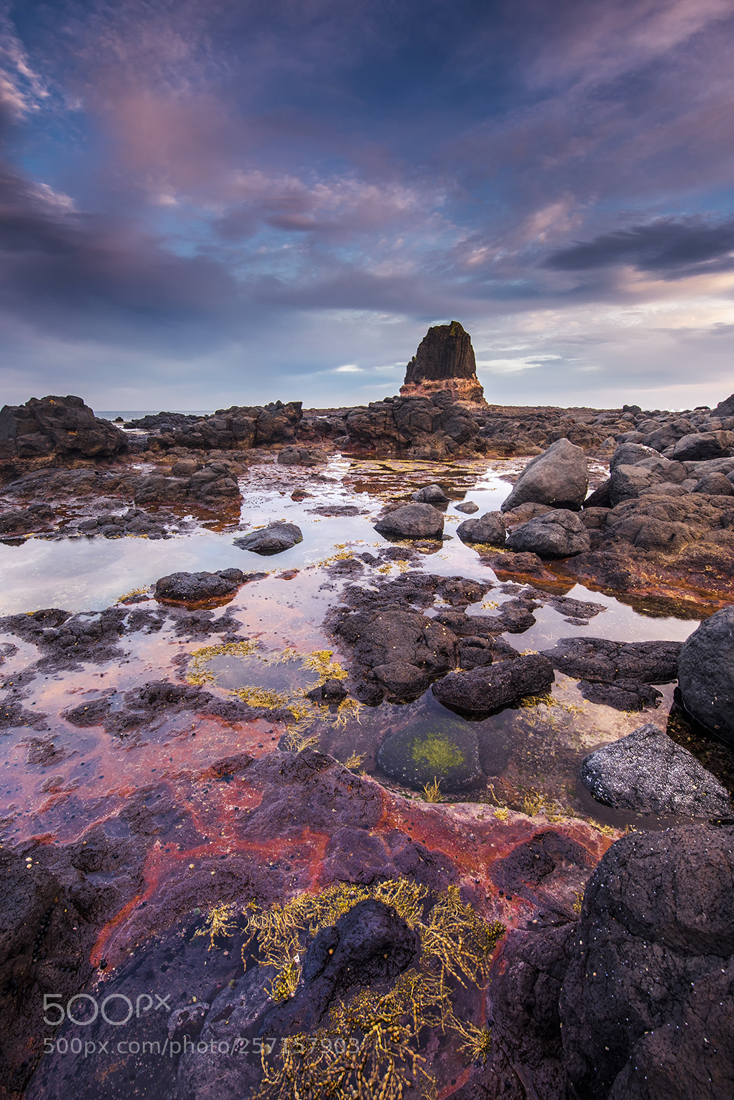 Nikon D810 sample photo. Colorful rock pool photography