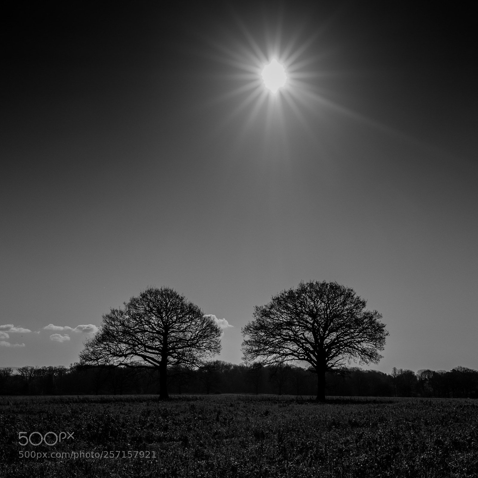 Fujifilm X-T1 sample photo. Sunburst.... photography