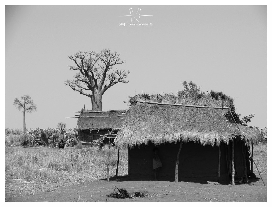 Canon POWERSHOT PRO1 sample photo. Madagascar n°14 photography