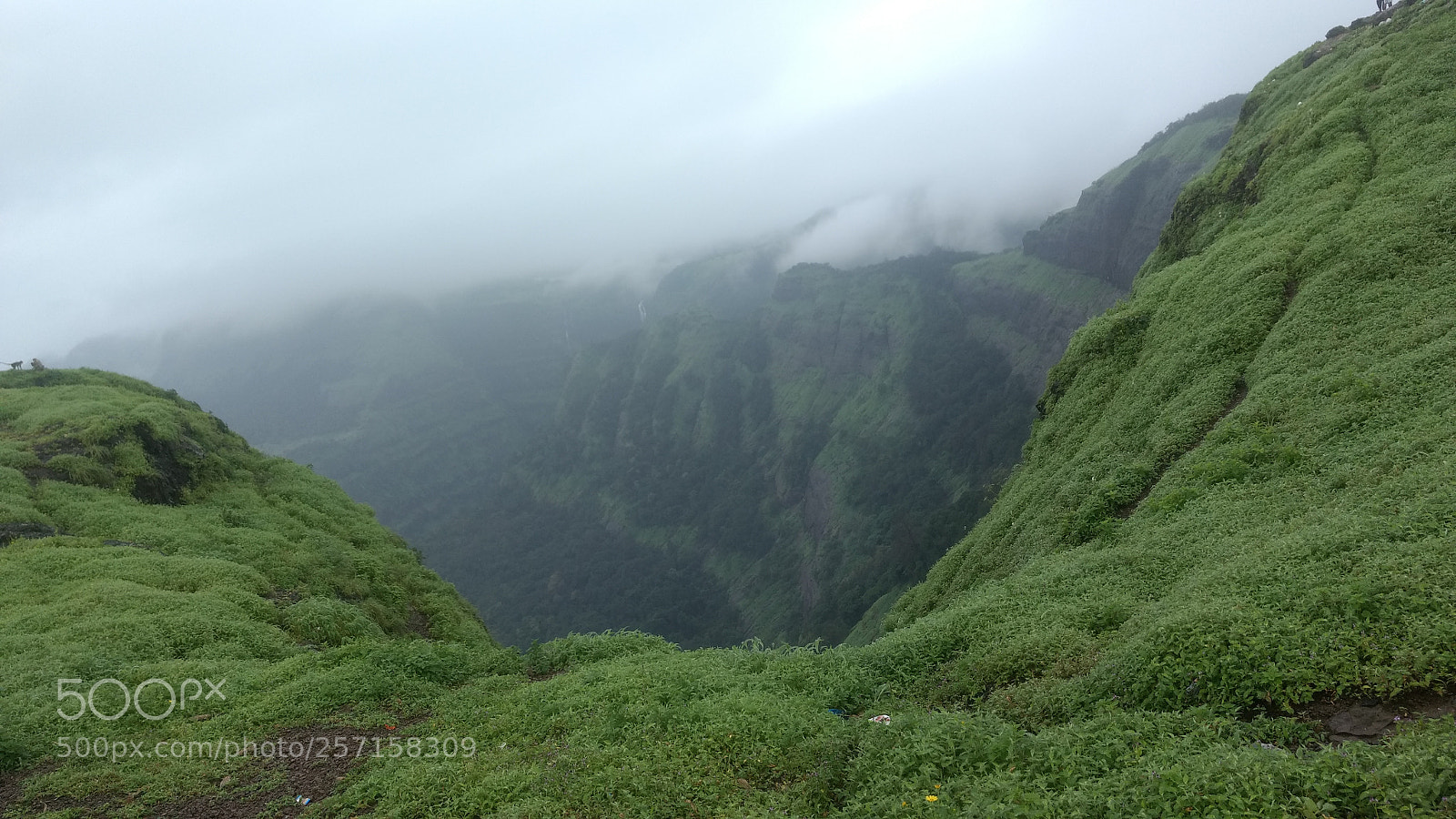 Motorola Moto G (4) sample photo. Nature lover photography