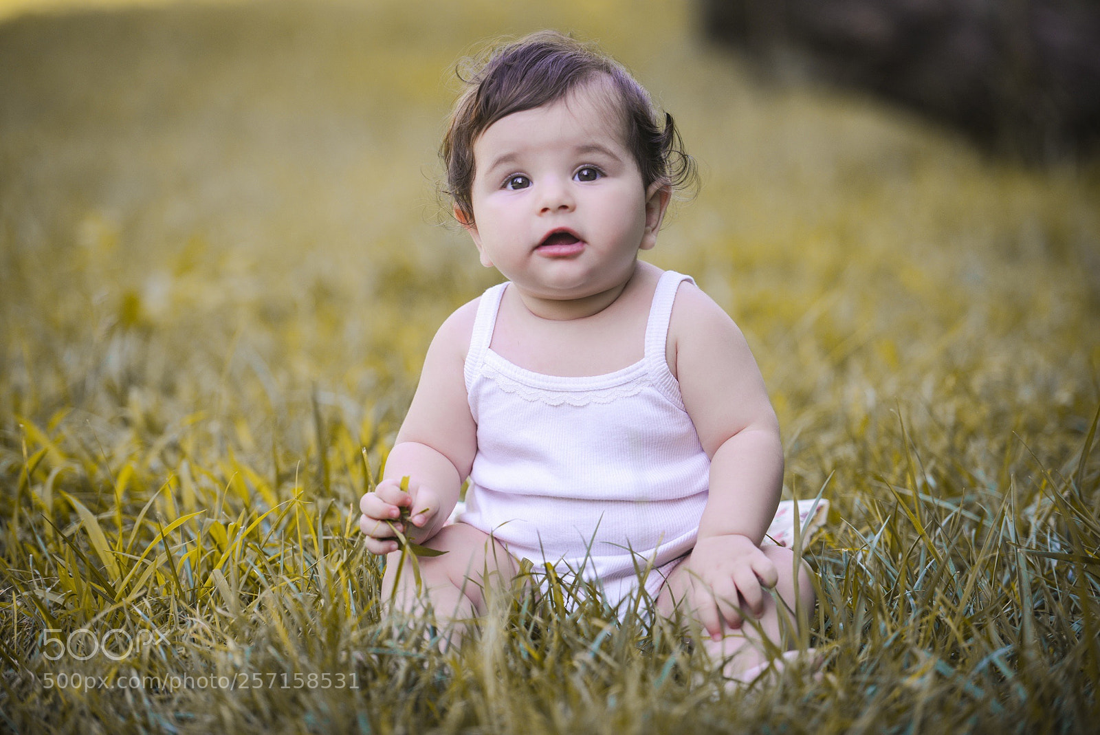 Nikon D800 sample photo. Untitled photography