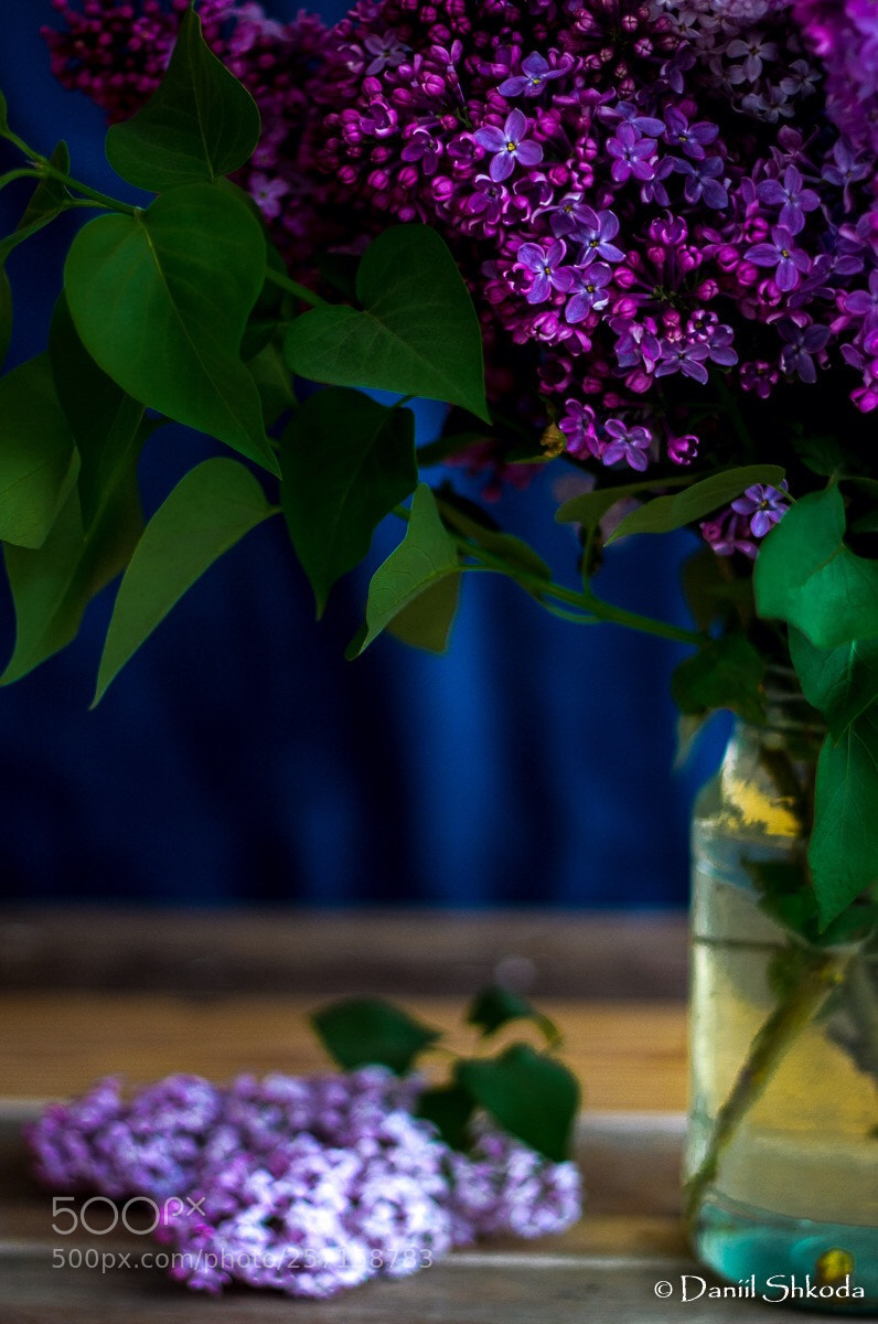 Canon EOS 60D sample photo. Untitled photography