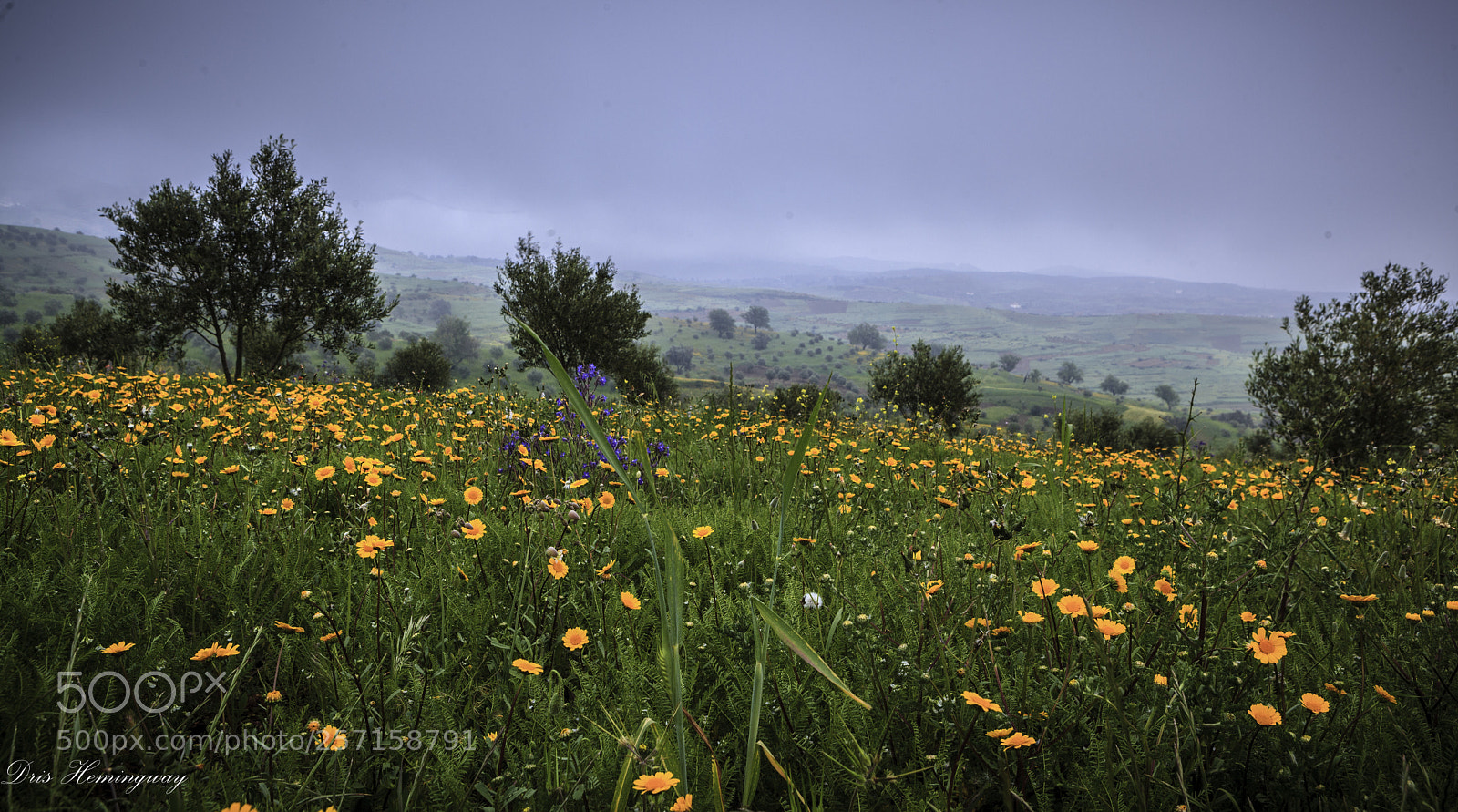 Canon EOS 5D Mark II sample photo. Beni hassan photography