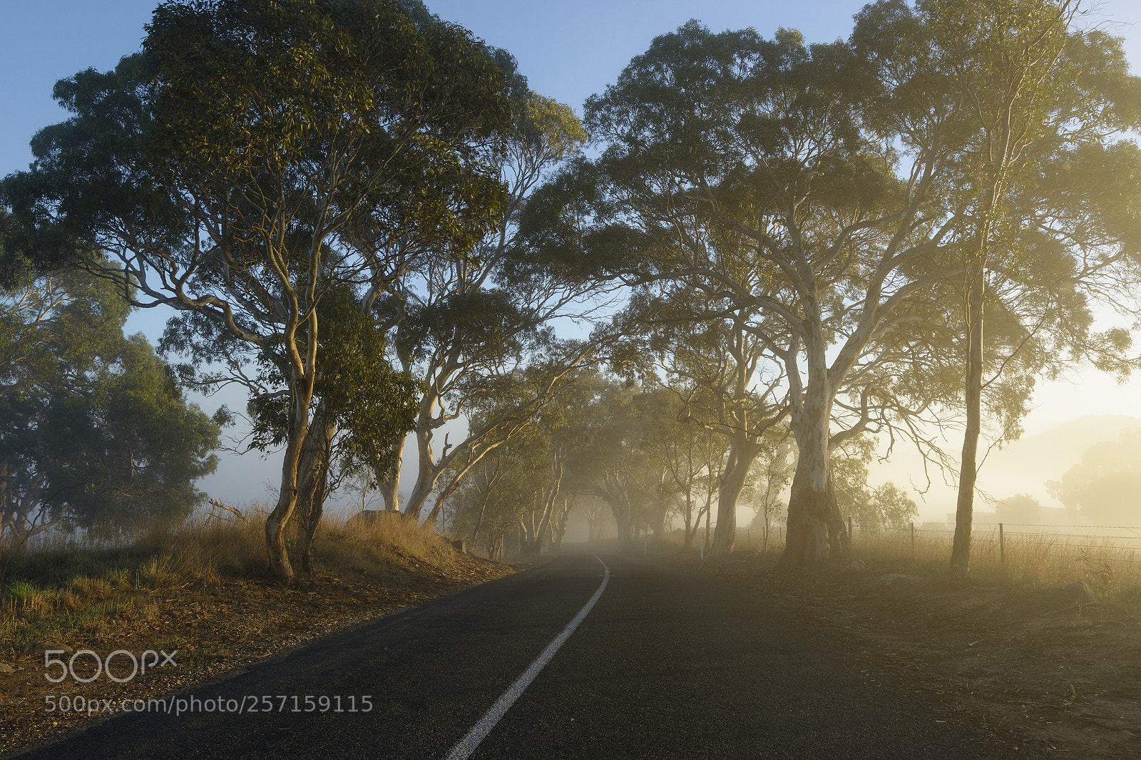 Nikon D7100 sample photo. Out on the road photography