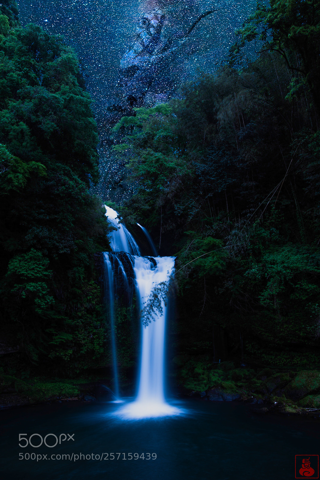 Nikon D610 sample photo. Dragon photography