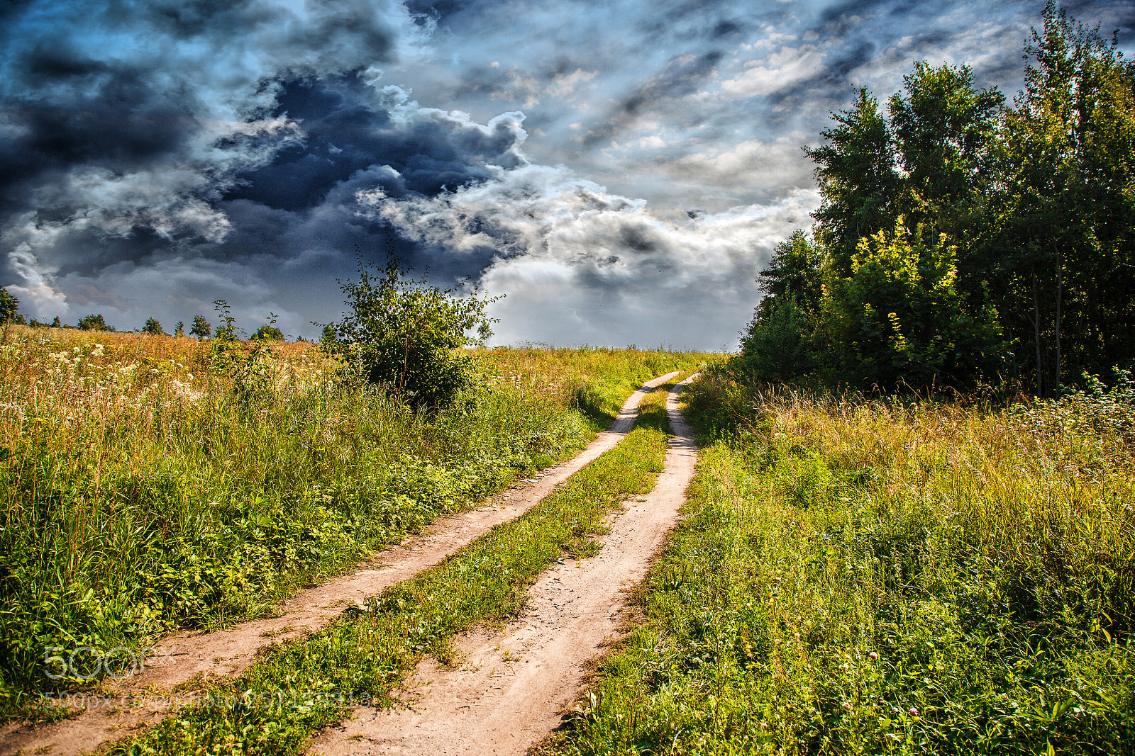 Canon EOS 5D Mark II sample photo. Old dirt road in photography