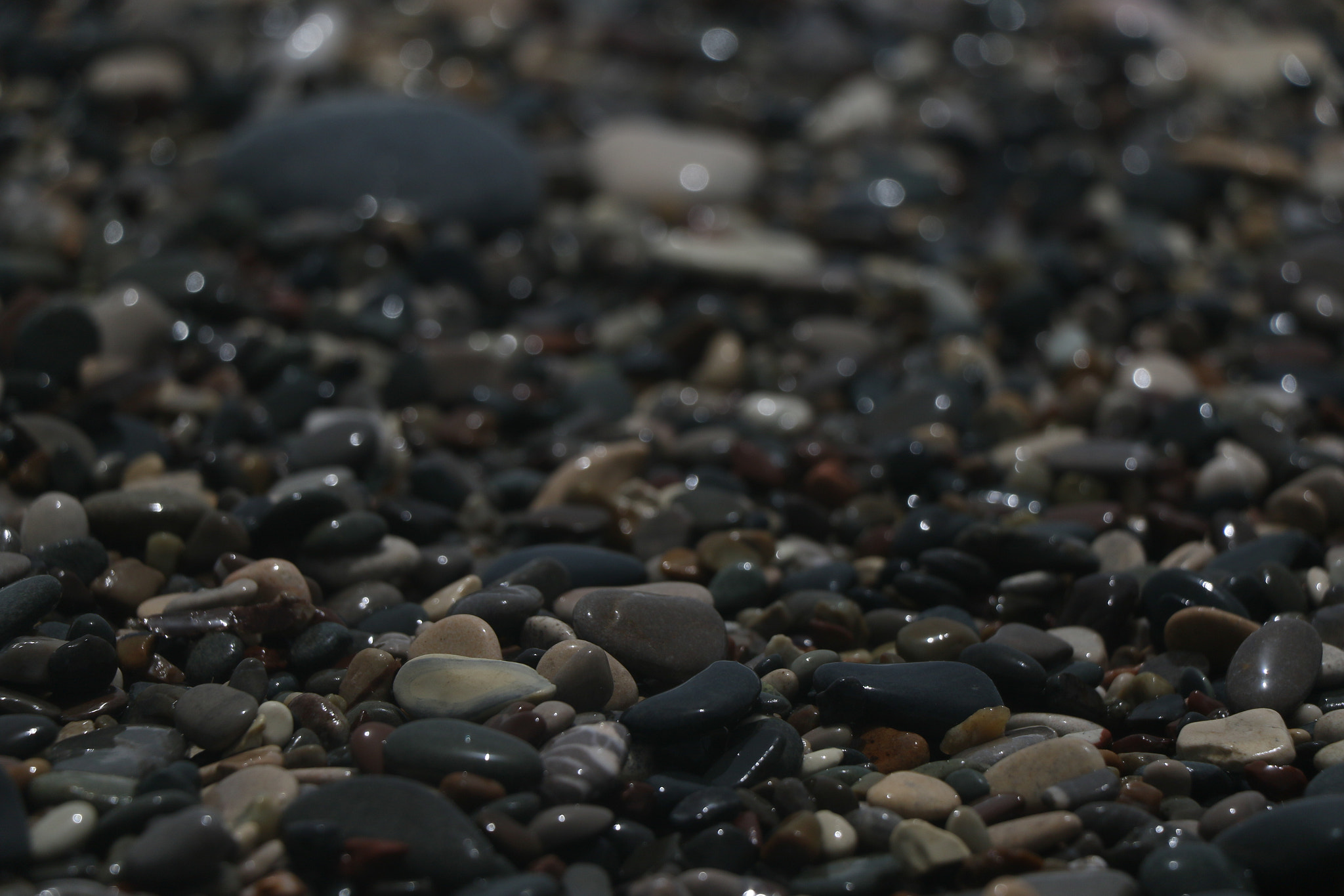 Canon EOS 7D Mark II sample photo. A photography