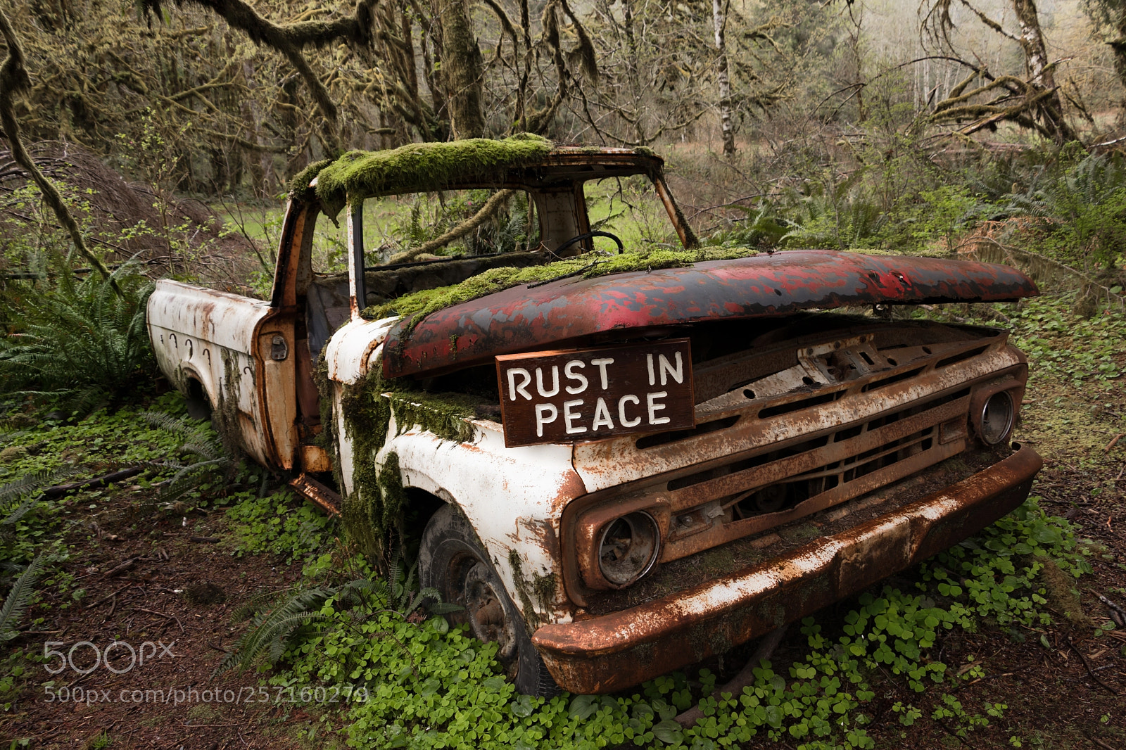 Canon EOS 77D (EOS 9000D / EOS 770D) sample photo. Rust in peace photography