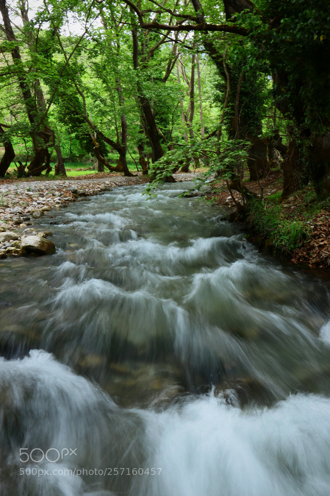 Canon EOS 70D sample photo. Against the flow photography