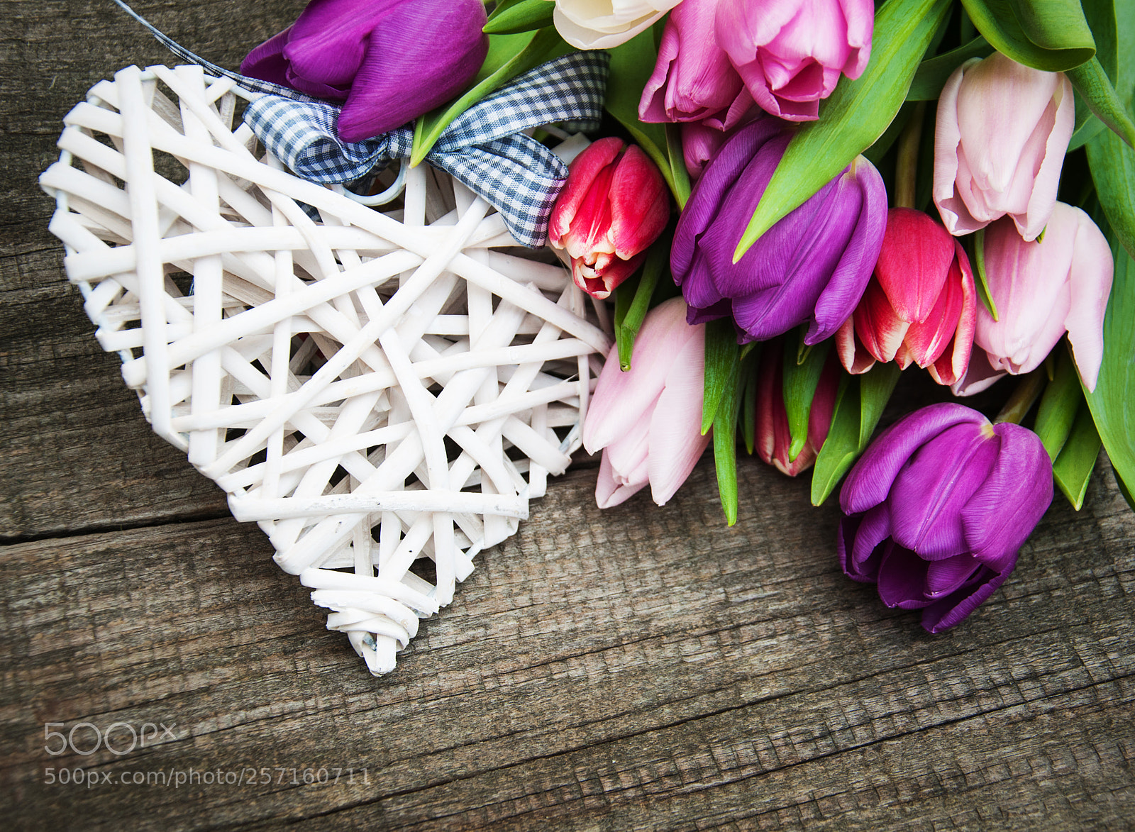 Nikon D90 sample photo. Spring tulips flowers photography