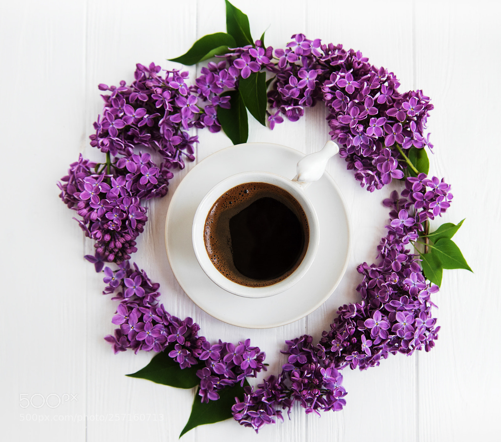 Nikon D750 sample photo. Cup of coffee and photography