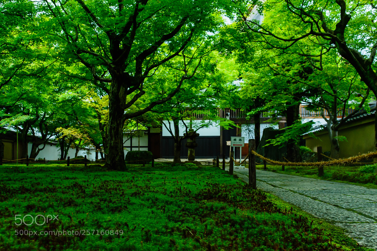 Nikon D5200 sample photo. 大徳寺黄梅院 photography
