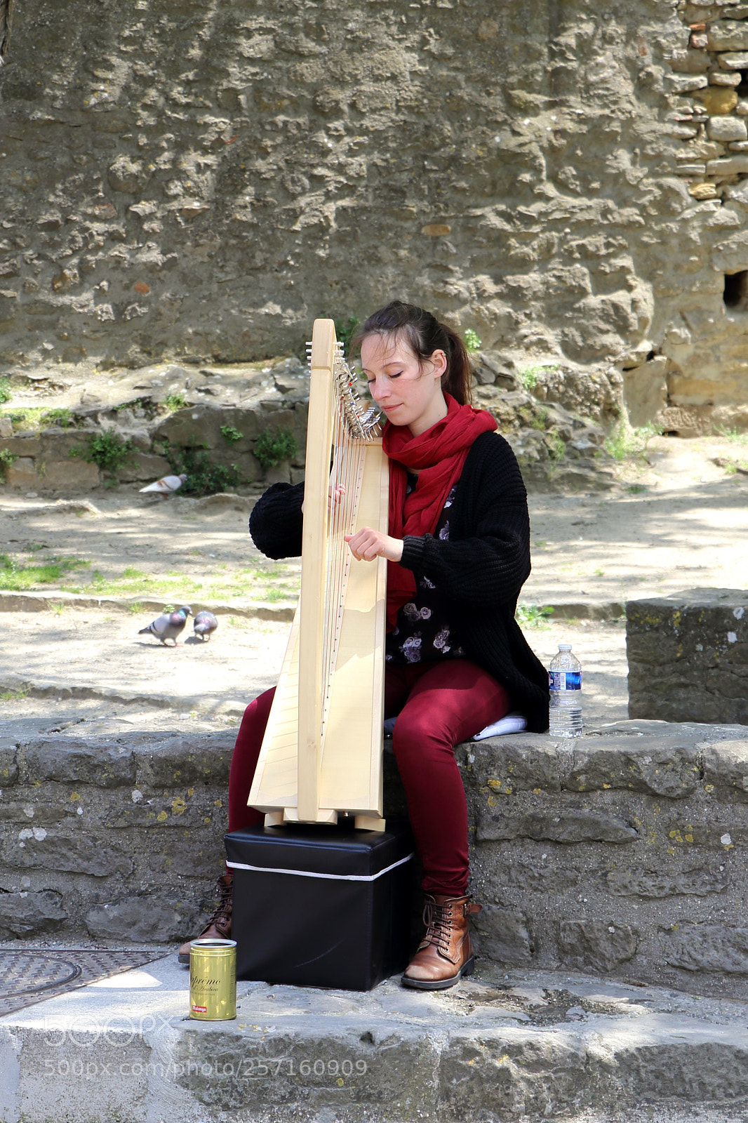 Canon EOS 80D sample photo. Harp player in carcassonne photography