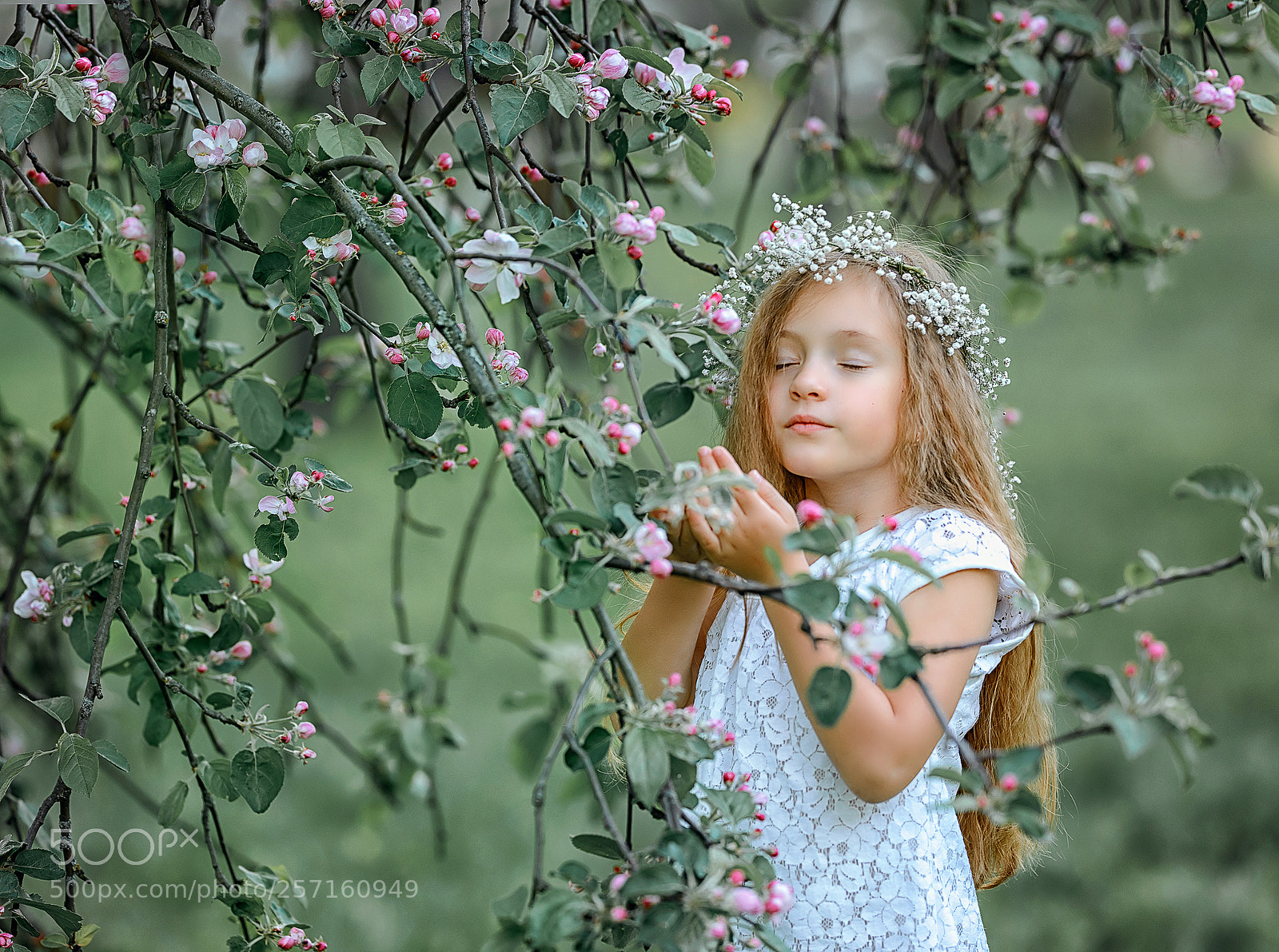 Nikon D800 sample photo. Весна photography