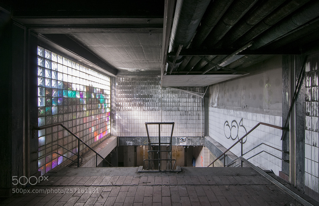 Nikon D300S sample photo. Colors in the dark photography