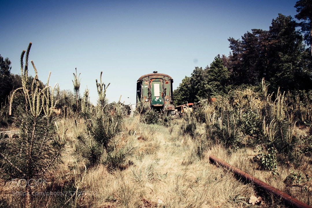 Canon EOS 77D (EOS 9000D / EOS 770D) sample photo. Trainspotting photography