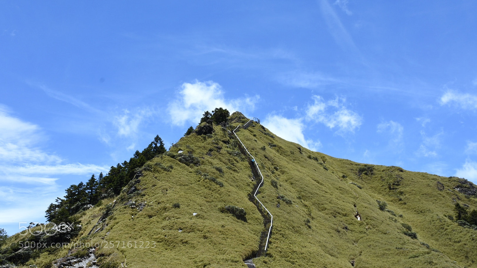 Nikon D7200 sample photo. Untitled photography