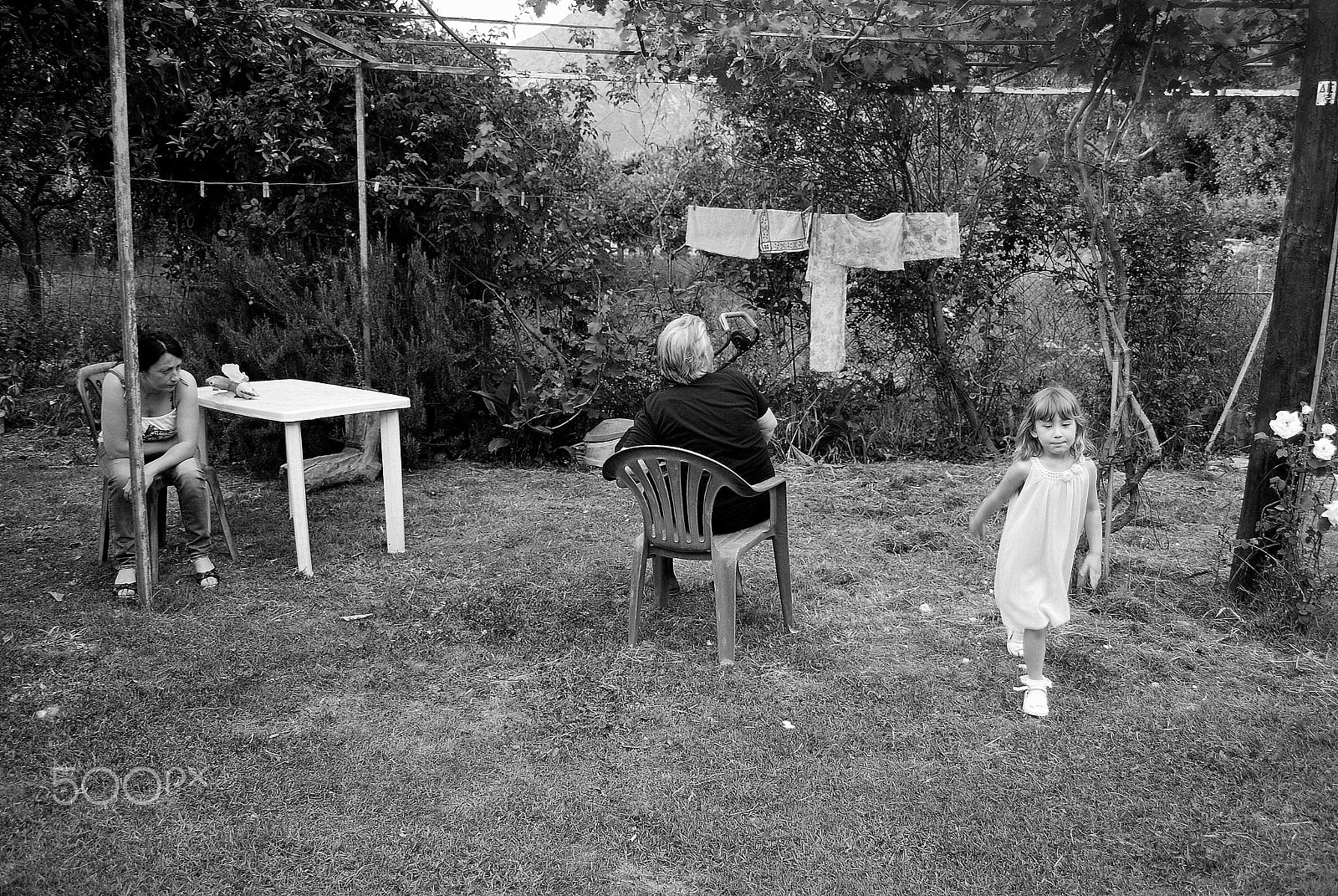 Nikon D60 sample photo. Yard photography
