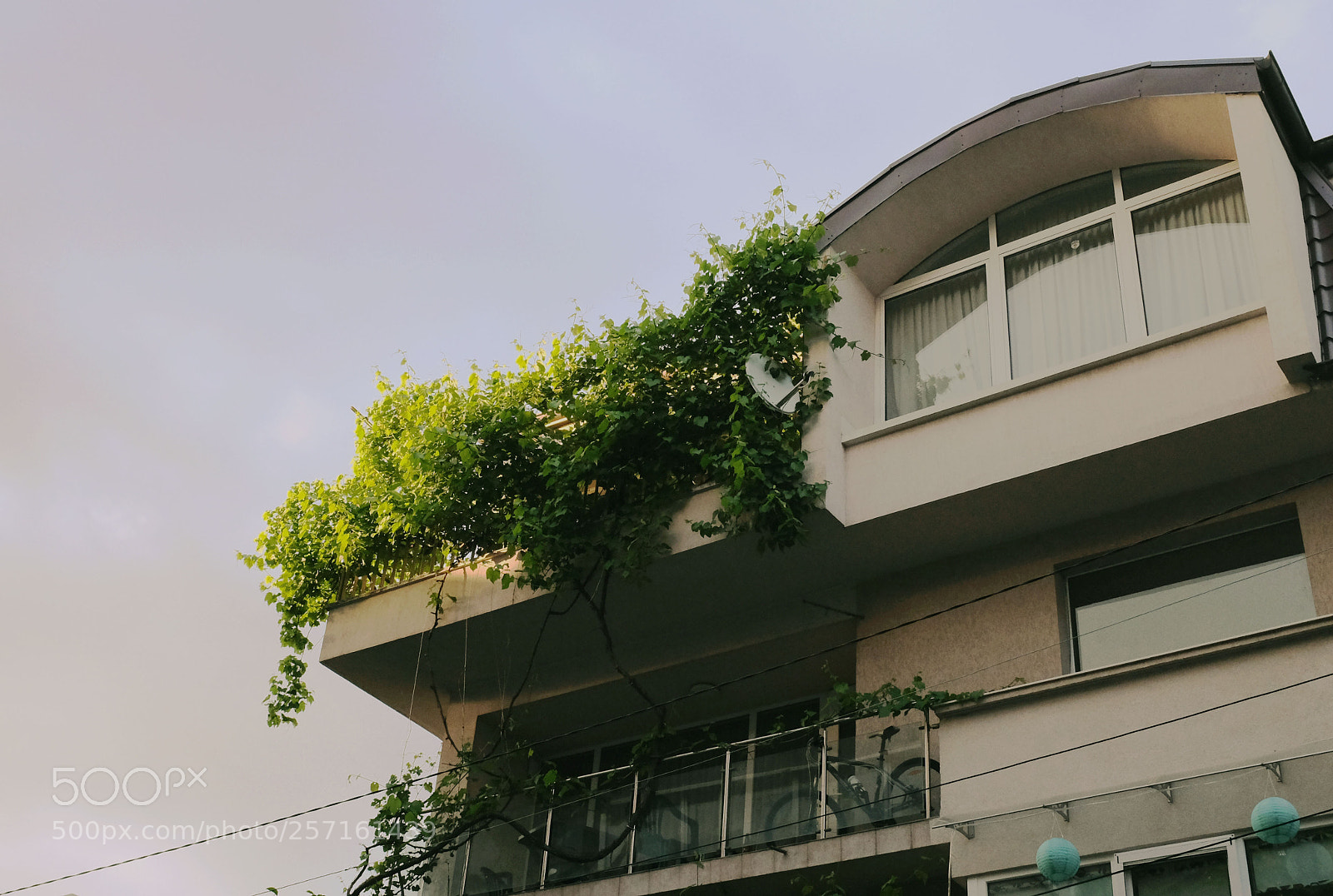 Fujifilm X100T sample photo. Miniuniverce photography