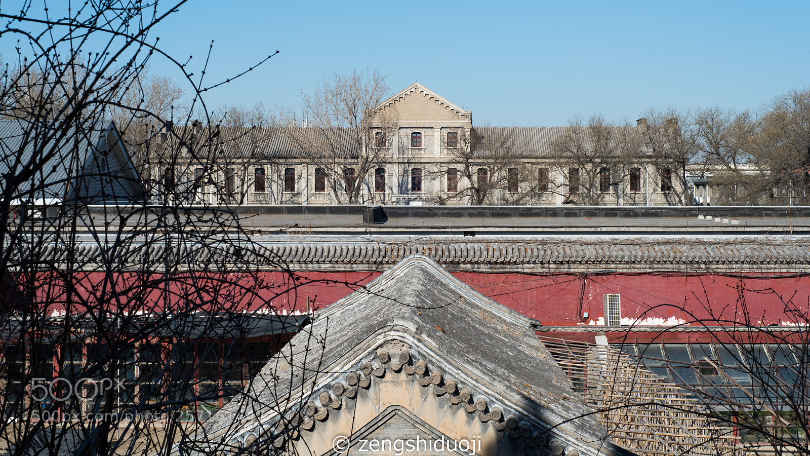 Nikon D750 sample photo. 中与西 photography