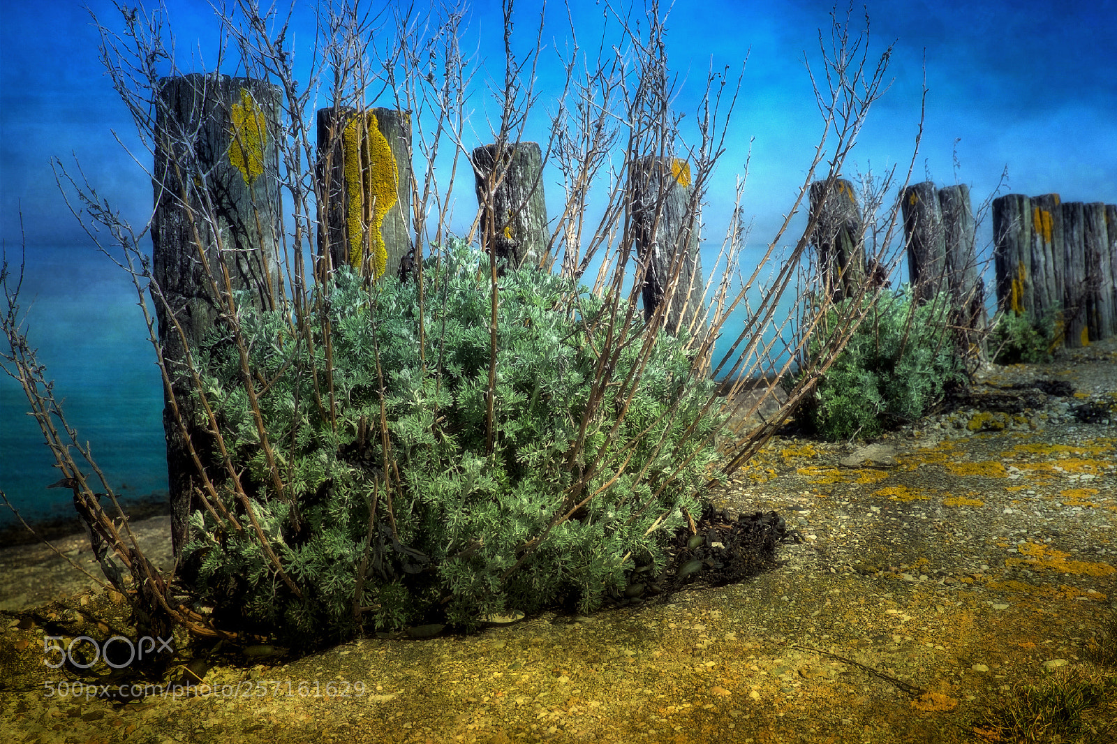 Fujifilm X-T1 sample photo. At the eastern scheldt photography