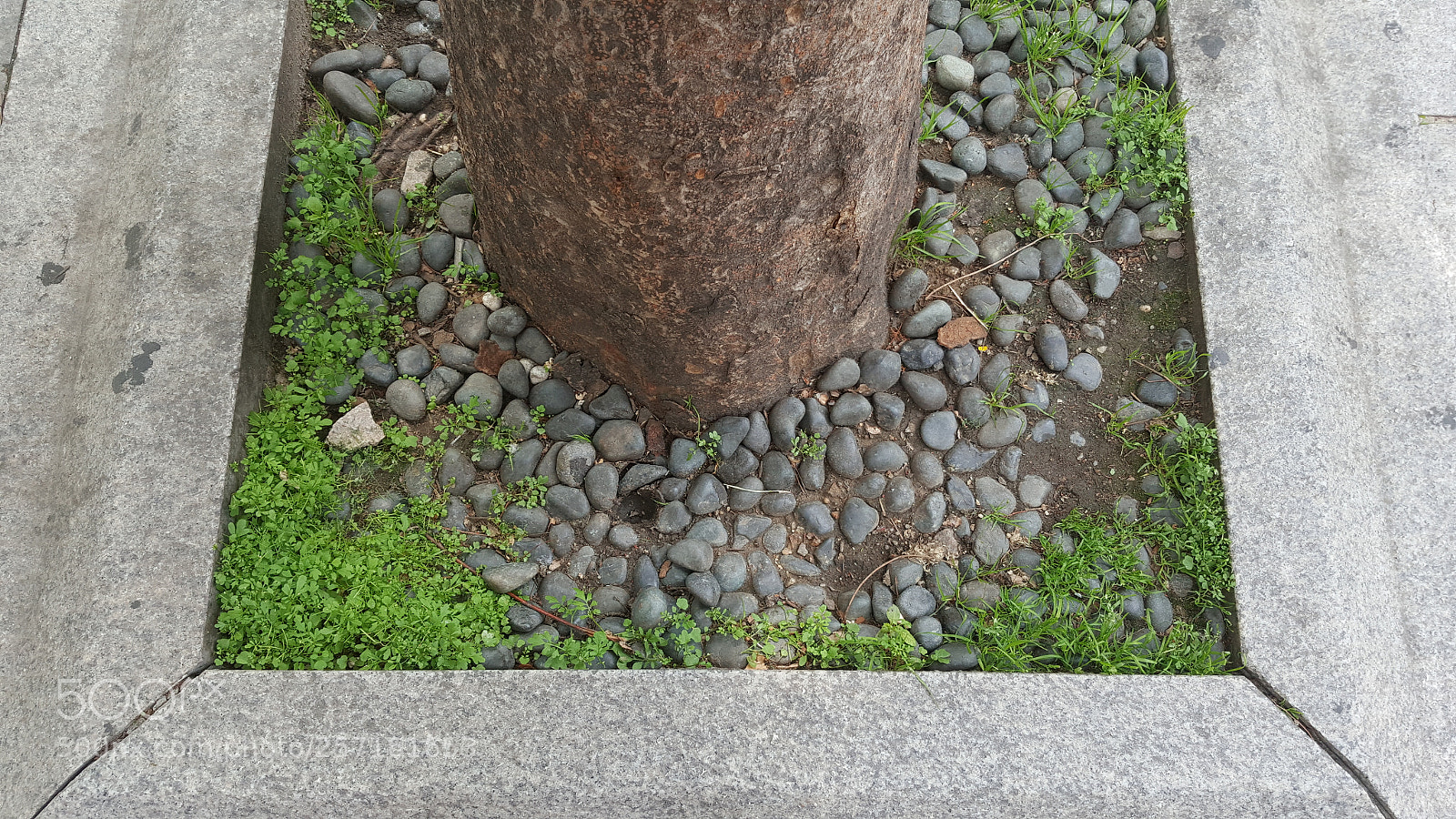 Samsung Galaxy Note5 sample photo. Untitled photography