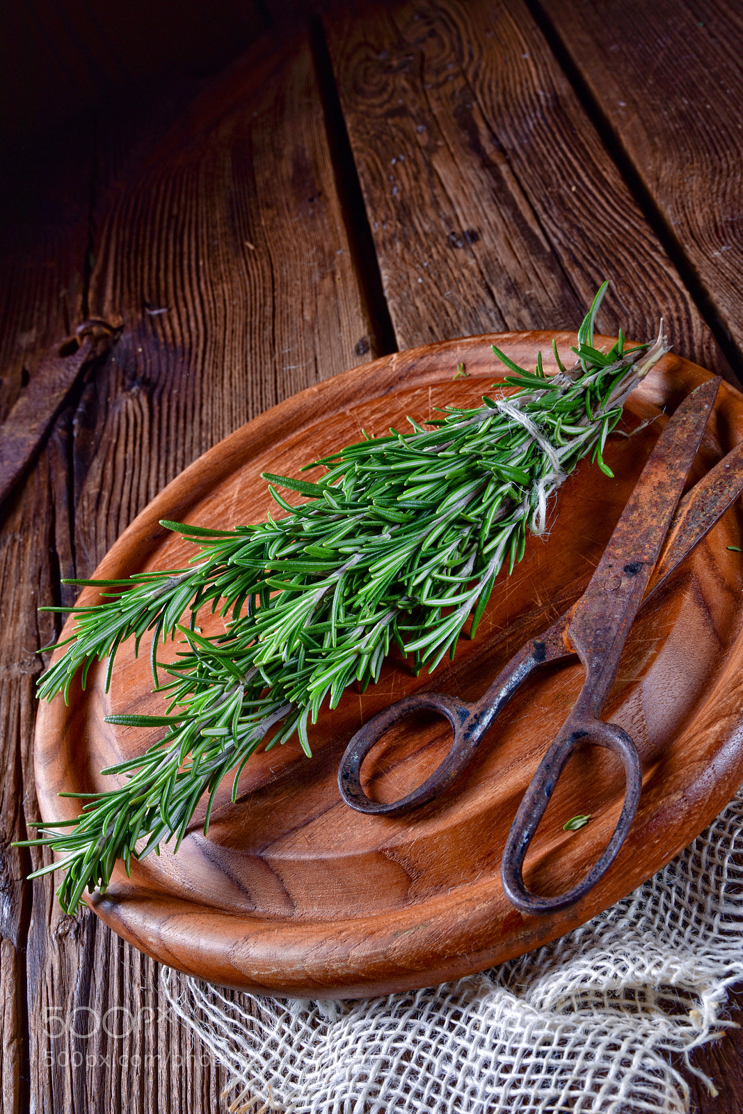 Nikon D810 sample photo. Rosmarin (rosmarinus officinalis) photography