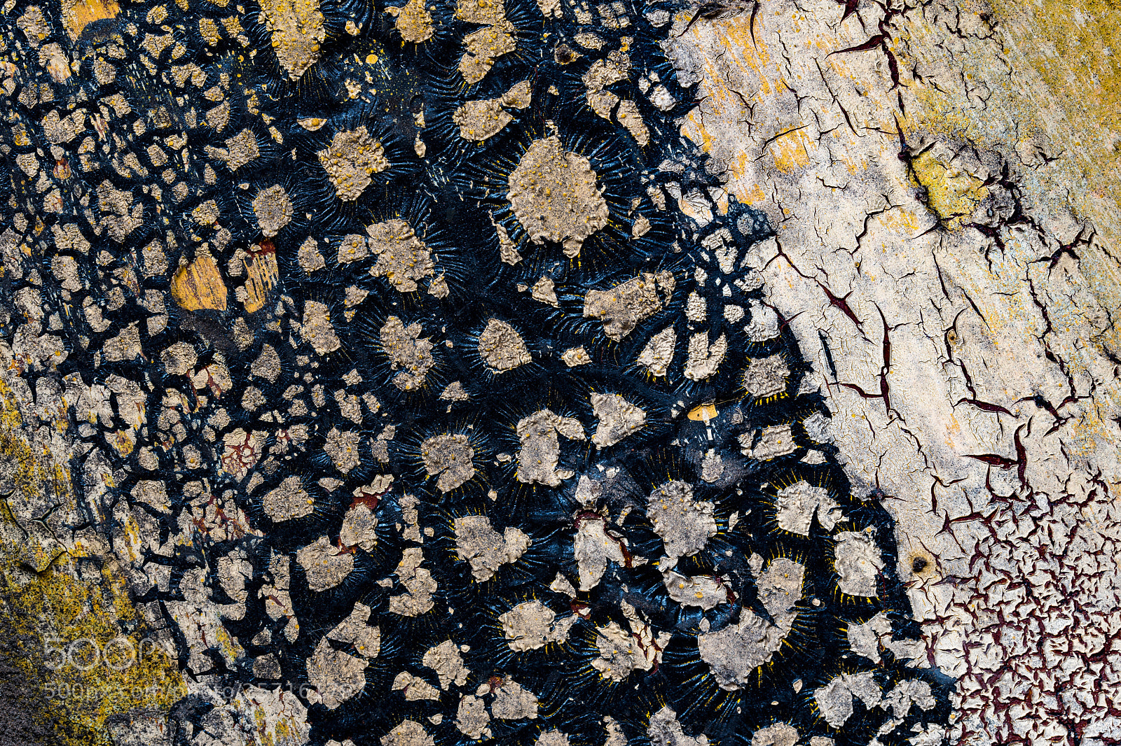 Nikon D750 sample photo. How it started... photography