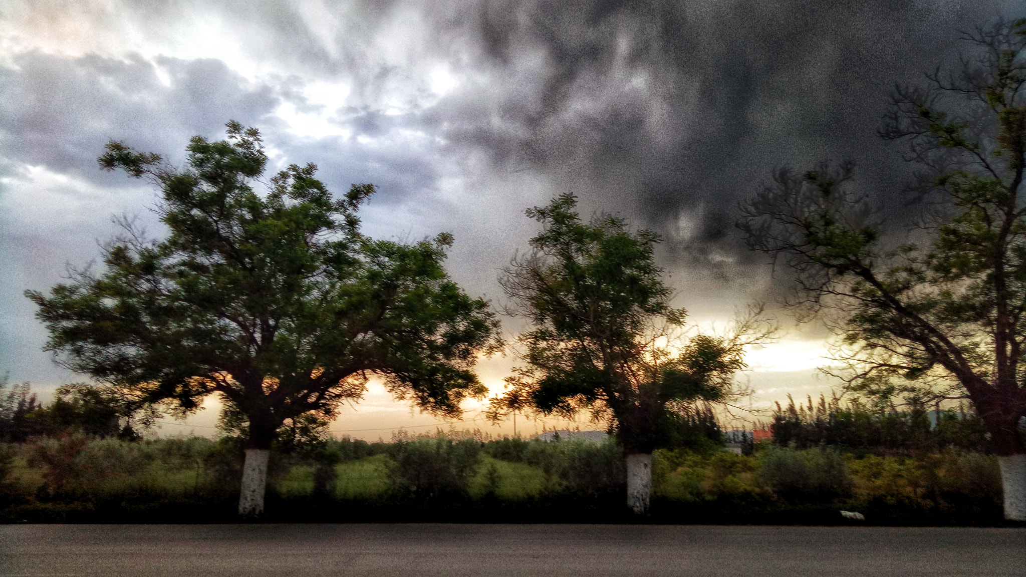 OPPO A1601 sample photo