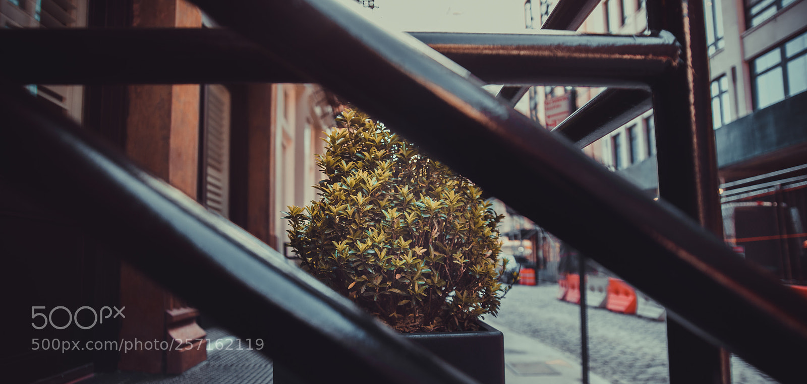 Nikon D850 sample photo. New york photography