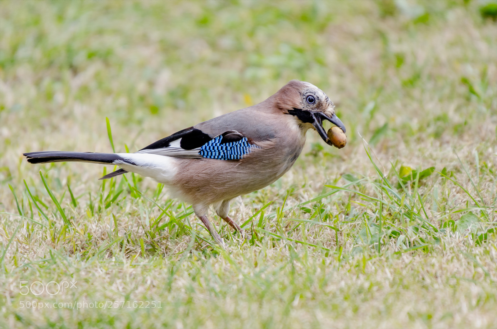 Nikon D7000 sample photo. Treasure hunting photography