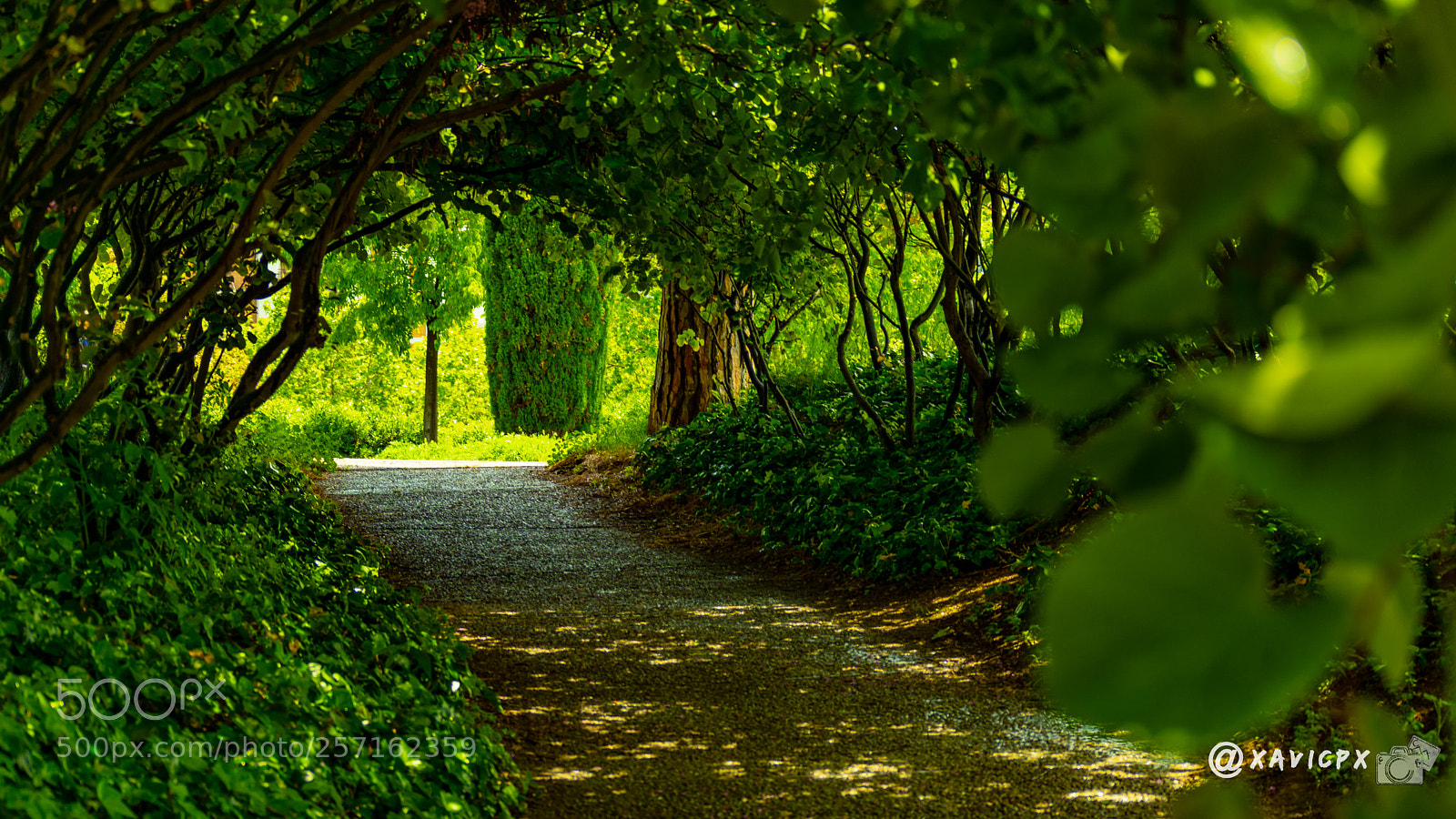 Nikon D3400 sample photo. Nou parc central mataró photography