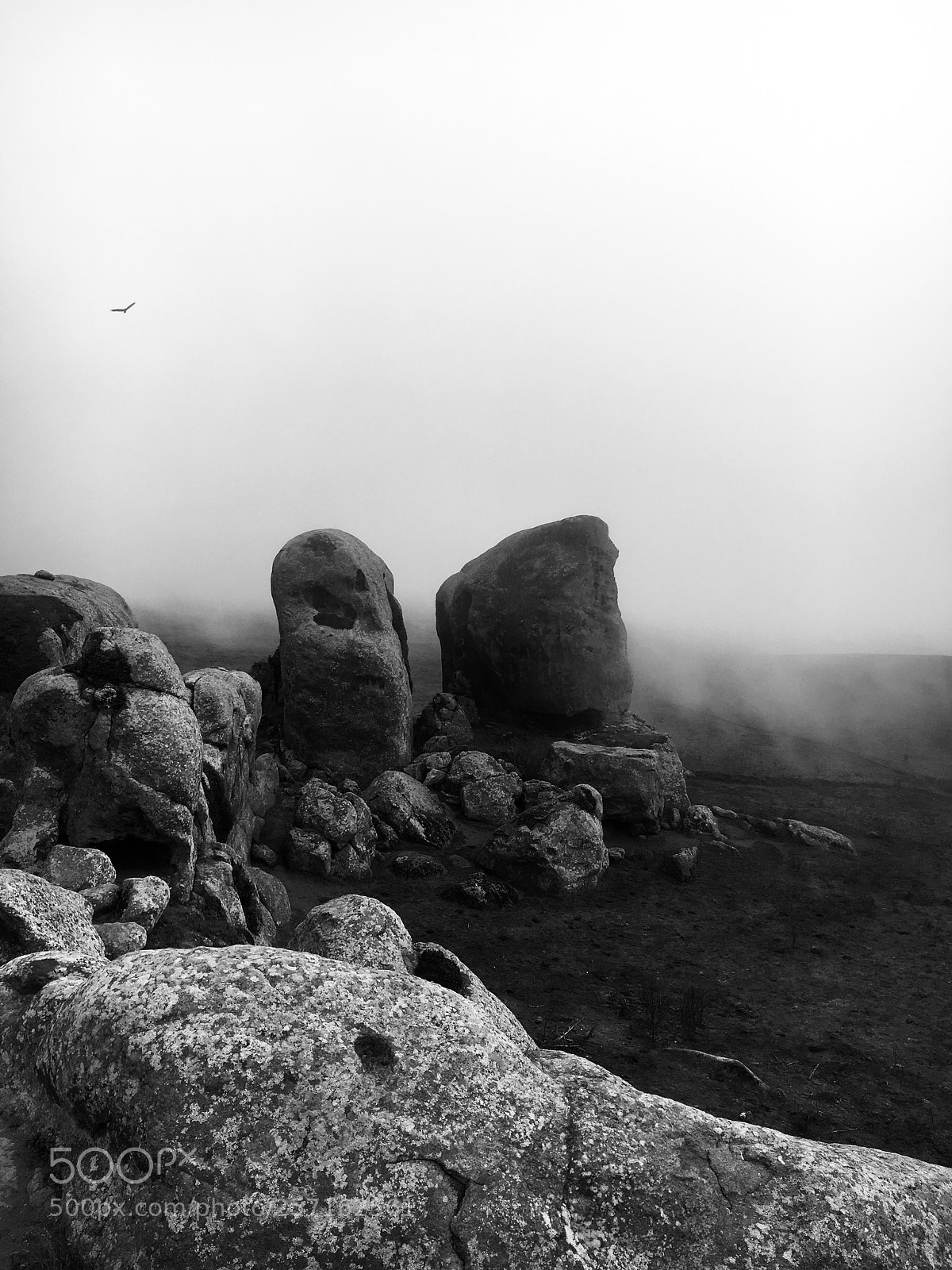 Apple iPhone 6s sample photo. Elephant rock photography